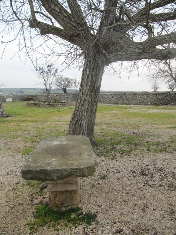 노치 Trulli Sarmenzanello 아파트 객실 사진
