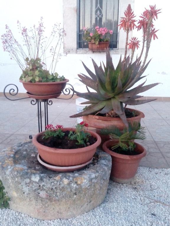 노치 Trulli Sarmenzanello 아파트 외부 사진