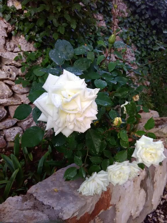 노치 Trulli Sarmenzanello 아파트 외부 사진